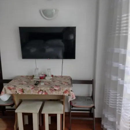 Garsoniera Apartment